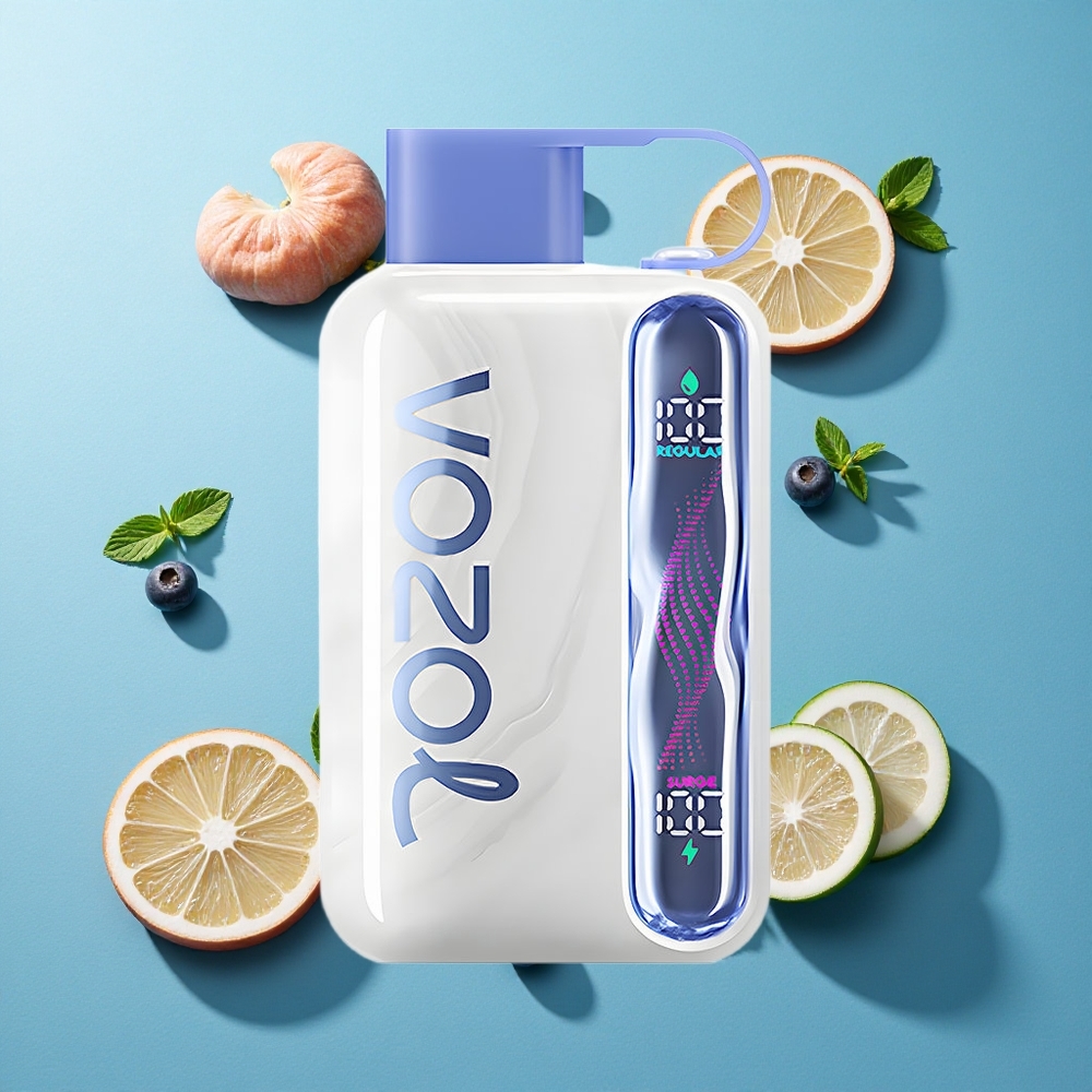 VOZOL STAR 40000 Puffs Wegwerf-Vape Blaubeere Minze mit 1000mAh Akku und Typ-C-Ladeanschluss