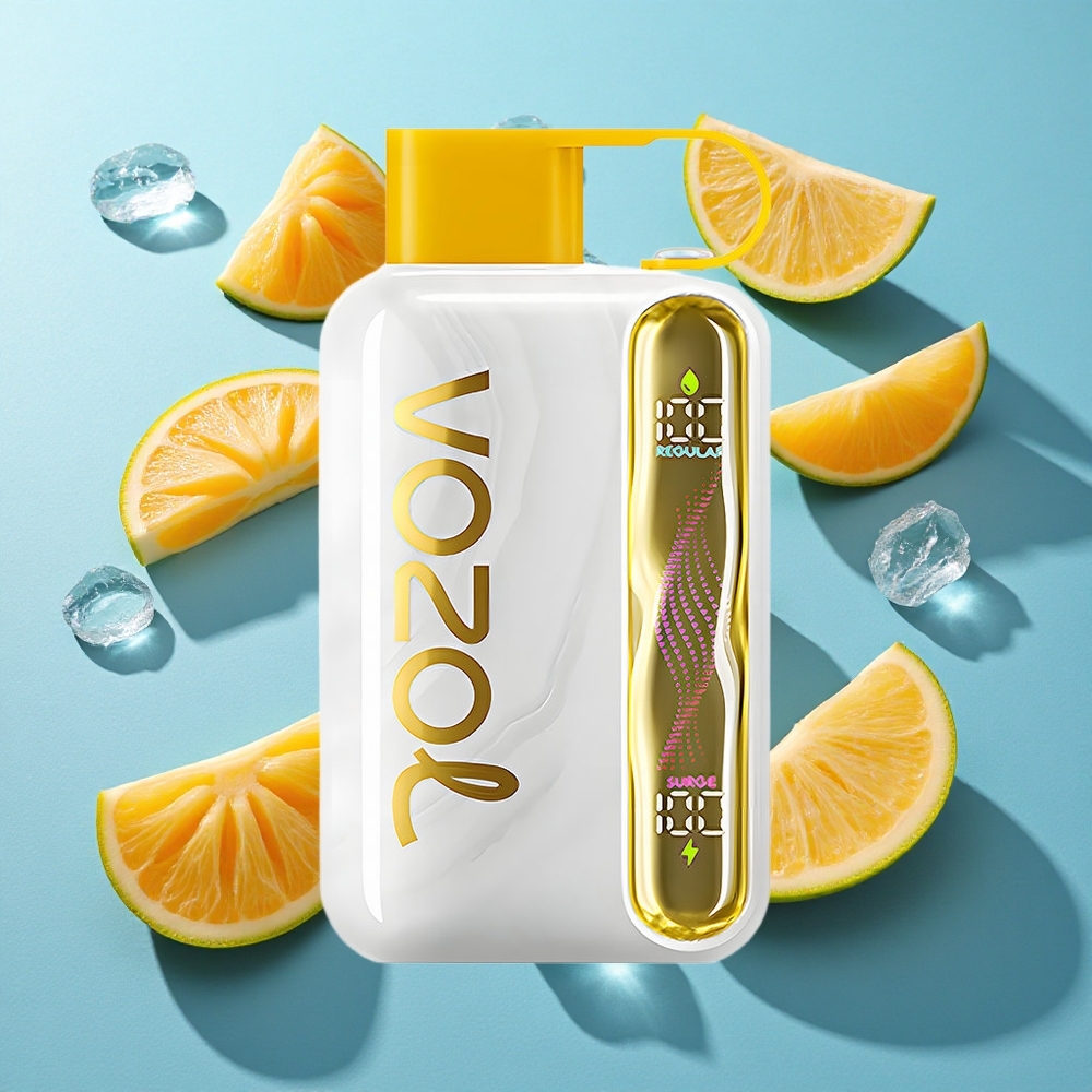 VOZOL STAR 40000 Puffs Wegwerf-Vape Mangoeis mit 1000mAh Akku und Typ-C-Ladeanschluss