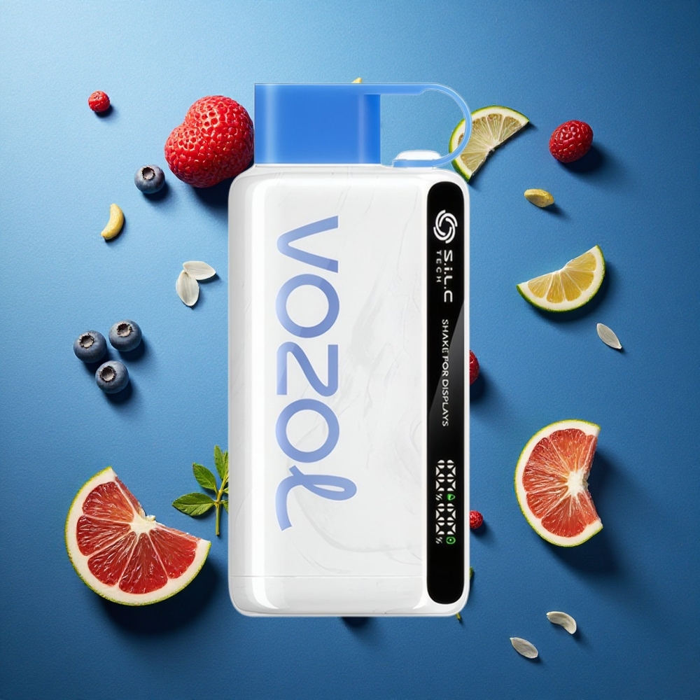 VOZOL STAR 9000/12000 Einweg-Vape Blaubeer-Sturm mit Schnellladung und Schüttel-Anzeige