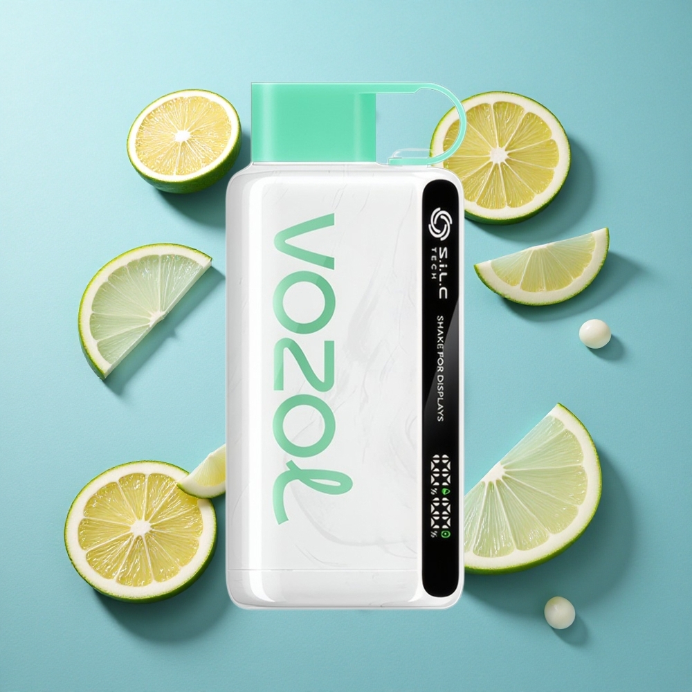 VOZOL STAR 9000/12000 Einweg-Vape Kühle Minze mit 650mAh Akku und bis zu 9000/12000 Puffs