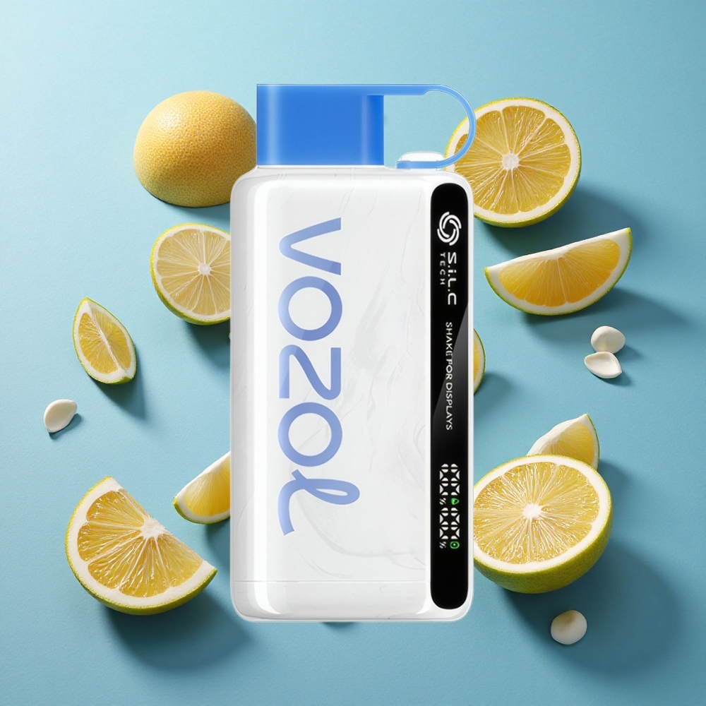 VOZOL STAR 9000/12000 Einweg-Vape Vzbull mit 650mAh Akku und 9000/12000 Puffs