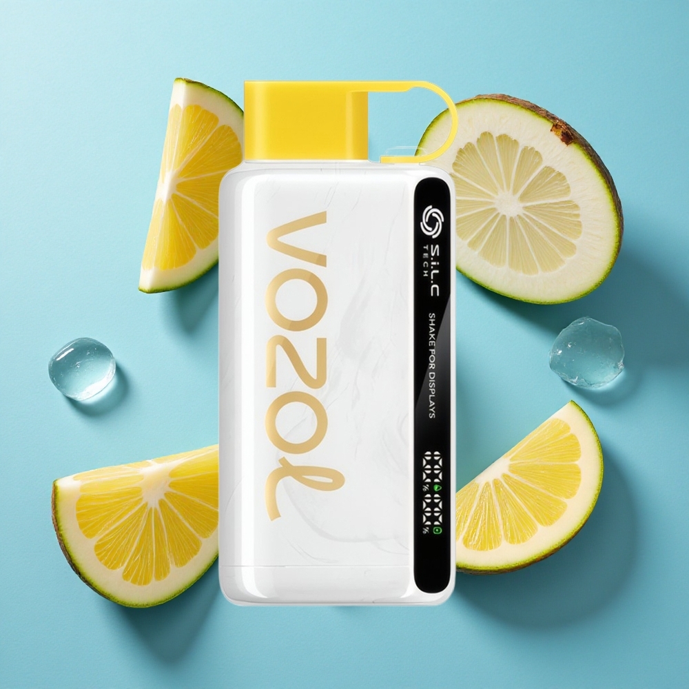 VOZOL STAR 9000/12000 Wegwerf-Vape Ananas-Kokos-Eis mit 650mAh Akku und bis zu 9000/1200 Puffs