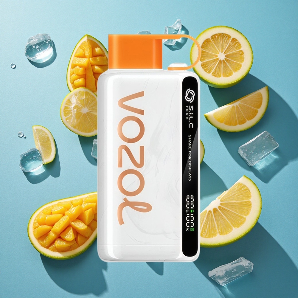 VOZOL STAR 9000/12000 Wegwerf-Vape Mexikanische Mango-Eis mit 650mAh Akku und bis zu 9000/1200 Puffs
