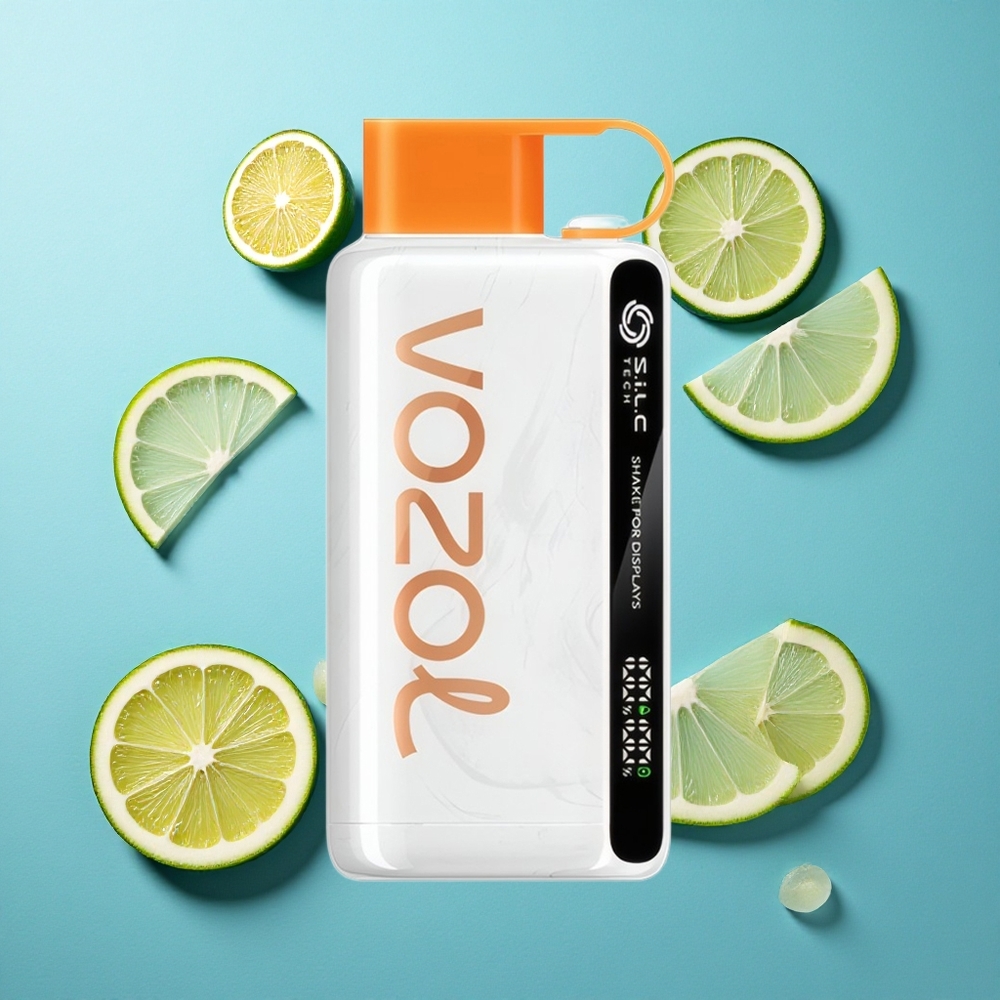 VOZOL STAR 9000/12000 Wegwerf-Vape Zitrone-Limette mit 650mAh Akku und bis zu 9000/1200 Puffs