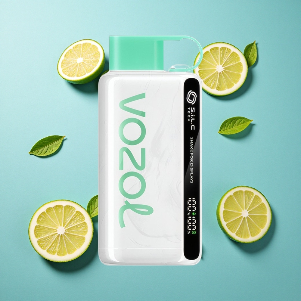 VOZOL STAR 9000/12000 Wegwerf-Vape Zitrone Minze mit 650mAh Akku und bis zu 9000/12000 Puffs