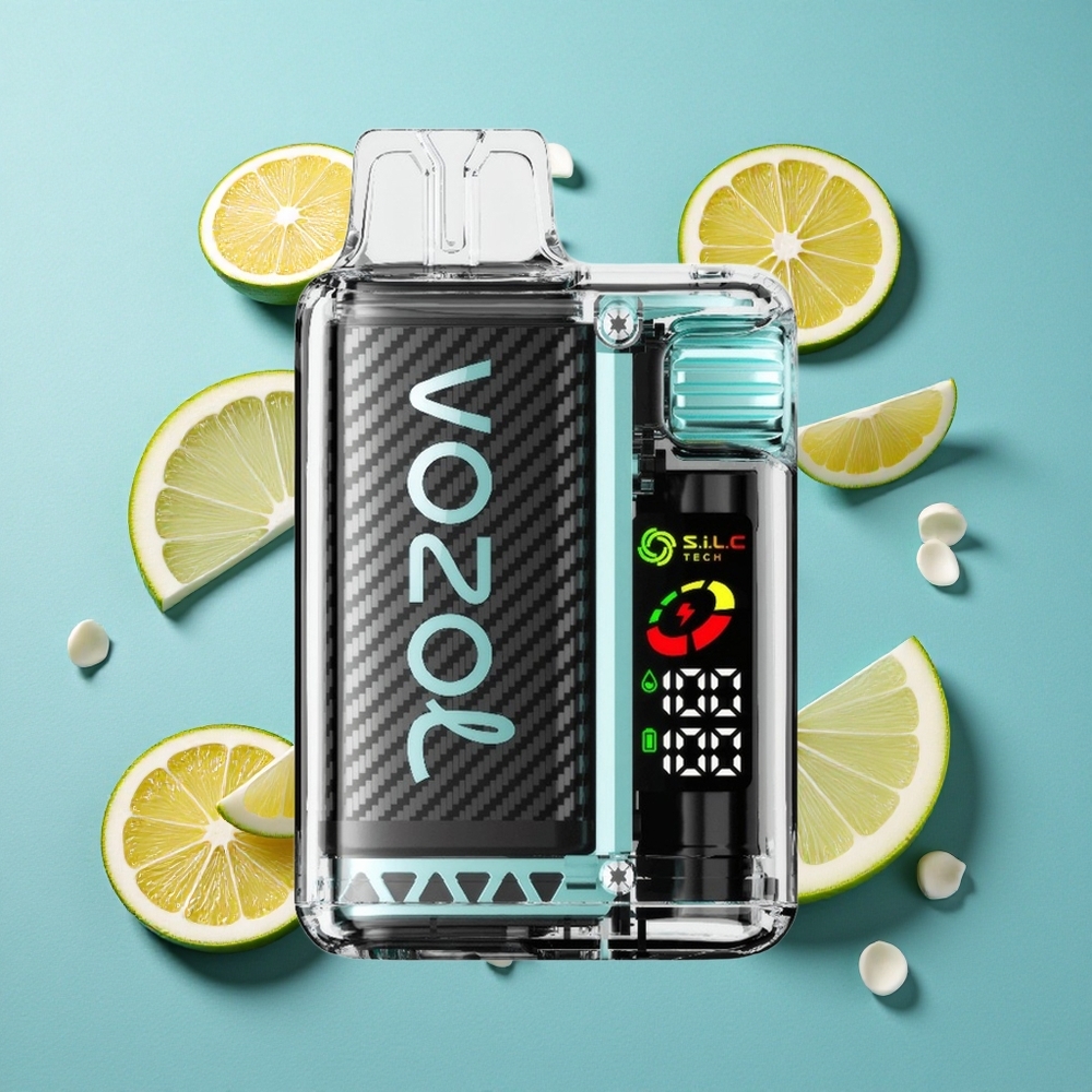 VOZOL Vista 20000 Puffs Wiederaufladbar 650mAh Miami Minze