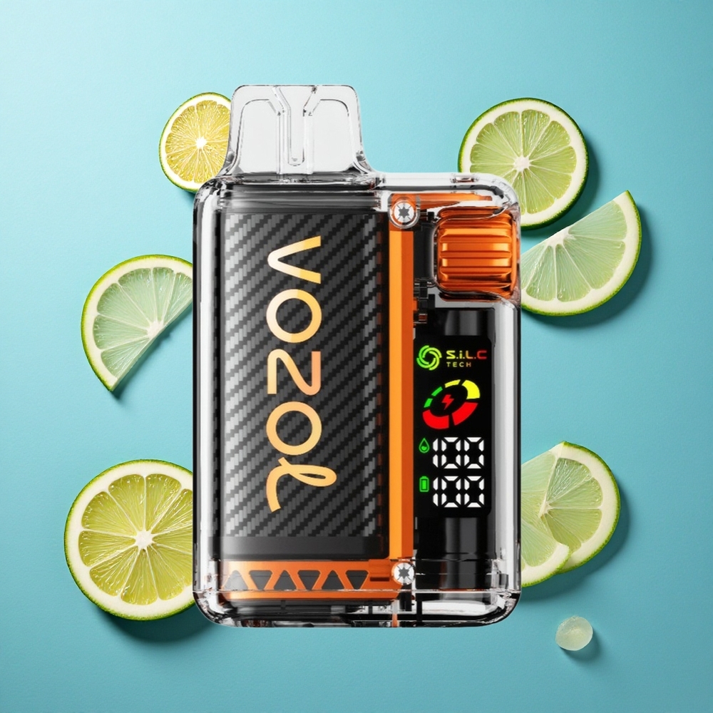 VOZOL Vista 20000 Puffs wiederverwendbares Kit Zitrone Limette mit 6-stufiger Watt-Ausgangsregelung und OLED-Bildschirm