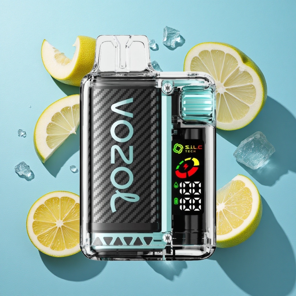 VOZOL Vista 20000 Puffs wiederverwendbares Kit mit OLED-Bildschirm und 6-stufiger Watt-Leistungsanpassung Sauberer Apfel Eis